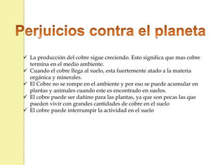  La producción del cobre sigue creciendo. Esto significa que mas cobre
termina en el medio ambiente.
 Cuando el cobre llega al suelo, esta fuertemente atado a la materia
orgánica y minerales.
 El Cobre no se rompe en el ambiente y por eso se puede acumular en
plantas y animales cuando este es encontrado en suelos.
 El cobre puede ser dañino para las plantas, ya que son pocas las que
pueden vivir con grandes cantidades de cobre en el suelo
 El cobre puede interrumpir la actividad en el suelo
 