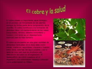 El cobre y la salud El cobre posee un importante papel biológico en el proceso de fotosíntesis de las plantas, aunque no forma parte de la composición de la clorofila. El cobre contribuye a la formación de glóbulos rojos y al mantenimiento de los vasos sanguíneos, nervios, sistema inmunitario y huesos y por tanto es un oligoelemento esencial para la vida humana. El cobre se encuentra en una gran cantidad de alimentos habituales de la dieta tales como ostras, mariscos, legumbres, vísceras y nueces entre otros, además del agua potable y por lo tanto es muy raro que se produzca una deficiencia de cobre en el organismo. El desequilibrio de cobre ocasiona en el organismo una enfermedad hepática conocida como enfermedad de Wilson. 