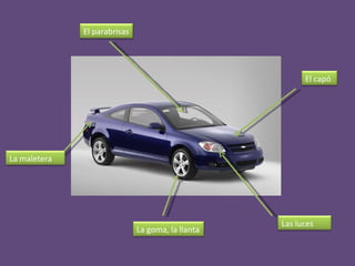 El parabrisas La goma, la llanta El capó La maletera Las luces 