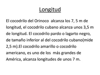 Longitud
El cocodrilo del Orinoco alcanza los 7, 5 m de
longitud, el cocodrilo cubano alcanza unos 3,5 m
de longitud. El cocodrilo pardo o lagarto negro,
de tamaño inferior al del cocodrilo cubano(mide
2,5 m).El cocodrilo amarillo o cocodrilo
americano, es uno de los más grandes de
América, alcanza longitudes de unos 7 m.