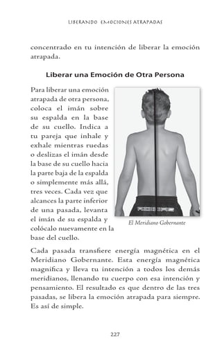 LIBERANDO EMOCIONES ATRAPADAS
227
concentrado en tu intención de liberar la emoción
atrapada.
Liberar una Emoción de Otra Persona
Para liberar una emoción
atrapada de otra persona,
coloca el imán sobre
su espalda en la base
de su cuello. Indica a
tu pareja que inhale y
exhale mientras ruedas
o deslizas el imán desde
la base de su cuello hacia
la parte baja de la espalda
o simplemente más allá,
tres veces. Cada vez que
alcances la parte inferior
de una pasada, levanta
el imán de su espalda y
colócalo nuevamente en la
base del cuello.
Cada pasada transfiere energía magnética en el
Meridiano Gobernante. Esta energía magnética
magnifica y lleva tu intención a todos los demás
meridianos, llenando tu cuerpo con esa intención y
pensamiento. El resultado es que dentro de las tres
pasadas, se libera la emoción atrapada para siempre.
Es así de simple.
El Meridiano Gobernante
 