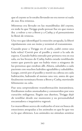 EL CÓDIGO DE LA EMOCIÓN Y LOS ANIMALES
343
que el coyote se lo estaba llevando no era terror ni nada
de eso. Era tristeza.
Mientras era llevado en las mandíbulas del coyote,
en todo lo que Twiggs pudo pensar fue en que nunca
iba a volver a ver a Brett y a Cathy, y el pensamiento
lo llenó de tristeza.
Una vez que identifiqué la emoción atrapada, la liberé
rápidamente con un imán y terminó el tratamiento.
Cuando puse a Twiggs en el suelo, ¡salió como una
bala veloz! Corrió por el pasillo y entró a la sala de
espera. Cuando había entrado por primera vez en esa
sala, en los brazos de Cathy, había estado temblando
tanto que parecía que no había visto a ninguna de
las personas que estaban allí. Ahora, saludaba a cada
paciente con muchos ladridos agradables y saludables.
Luego, corrió por el pasillo y metió su cabeza en cada
habitación, ladrando al menos una vez, antes de que
finalmente terminara frente a Brett y Cathy, moviendo
felizmente su cola.
Fue una sorprendente transformación instantánea.
Estábamos todos anonadados y conmovidos por esta
curación milagrosa. Según sus dueños, Twiggs dejó
de temblar desde ese momento y su personalidad
encantadora e inquisitiva regresó.
Lo maravilloso acerca de realizarles el test en busca de
emociones atrapadas a los animales es que lo que ves
es lo que obtienes. Los animales no simulan sentirse
 