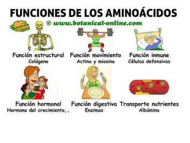 Los movimientos para el adelgazamiento del vientre para los niños