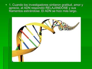 1. Cuando los investigadores sintieron gratitud, amor y aprecio, al ADN respondió RELAJÁNDOSE y sus filamentos estirándose. El ADN se hizo más largo. 