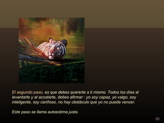 El segundo paso, es que debes quererte a ti mismo. Todos los días al
levantarte y al acostarte, debes afirmar : yo soy capaz, yo valgo, soy
inteligente, soy cariñoso, no hay obstáculo que yo no pueda vencer.

Este paso se llama autoestima justa.
 