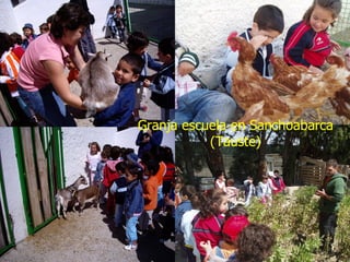 Granja escuela en Sanchoabarca
           (Tauste)
 