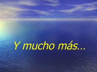 Y mucho más…
 