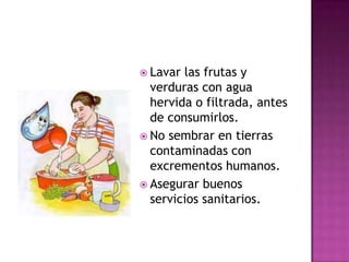  Lavar las frutas y
  verduras con agua
  hervida o filtrada, antes
  de consumirlos.
 No sembrar en tierras
  contaminadas con
  excrementos humanos.
 Asegurar buenos
  servicios sanitarios.
 