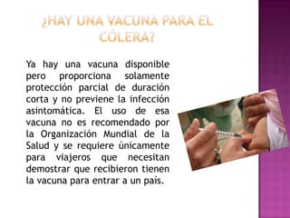 Ya hay una vacuna disponible
pero proporciona solamente
protección parcial de duración
corta y no previene la infección
asintomática. El uso de esa
vacuna no es recomendado por
la Organización Mundial de la
Salud y se requiere únicamente
para viajeros que necesitan
demostrar que recibieron tienen
la vacuna para entrar a un país.
 