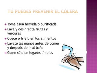  Toma  agua hervida o purificada
 Lava y desinfecta frutas y
  verduras
 Cuece o fríe bien los alimentos
 Lávate las manos antes de comer
  y después de ir al baño
 Come sólo en lugares limpios
 