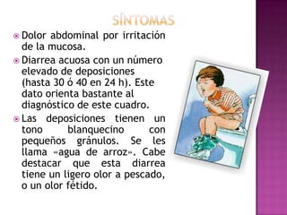  Dolor abdominal por irritación
  de la mucosa.
 Diarrea acuosa con un número
  elevado de deposiciones
  (hasta 30 ó 40 en 24 h). Este
  dato orienta bastante al
  diagnóstico de este cuadro.
 Las deposiciones tienen un
  tono      blanquecino       con
  pequeños gránulos. Se les
  llama «agua de arroz». Cabe
  destacar que esta diarrea
  tiene un ligero olor a pescado,
  o un olor fétido.
 