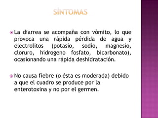  Ladiarrea se acompaña con vómito, lo que
 provoca una rápida pérdida de agua y
 electrolitos (potasio, sodio, magnesio,
 cloruro, hidrogeno fosfato, bicarbonato),
 ocasionando una rápida deshidratación.

 Nocausa fiebre (o ésta es moderada) debido
 a que el cuadro se produce por la
 enterotoxina y no por el germen.
 