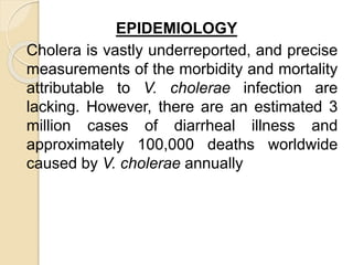 EPIDEMIOLOGY
Cholera is vastly underreported, and precise
measurements of the morbidity and mortality
attributable to V. cholerae infection are
lacking. However, there are an estimated 3
million cases of diarrheal illness and
approximately 100,000 deaths worldwide
caused by V. cholerae annually
 