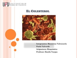 EL COLESTEROL

Integrantes: Macarena Valenzuela
Paola Valverde
Asignatura: Bioquímica
Profesor: Danilo Vargas

 