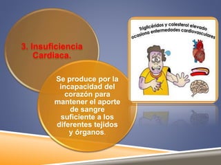 3. Insuficiencia 
Cardiaca. 
Se produce por la 
incapacidad del 
corazón para 
mantener el aporte 
de sangre 
suficiente a los 
diferentes tejidos 
y órganos. 
 