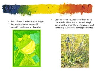 Los colores armónicos o análogos ilustrados abajo son amarillo, amarillo verdoso y azul verdoso.  Los colores análogos ilustrados en esta pintura de  Irises hecha por Van Gogh son amarillo, amarillo verde, verde, azul verdoso y sus valores correspondientes. 