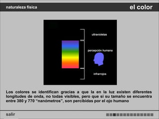 naturaleza física                                            el color




Los colores se identifican gracias a que la en la luz existen diferentes
longitudes de onda, no todas visibles, pero que si su tamaño se encuentra
entre 380 y 770 “nanómetros”, son percibidas por el ojo humano


salir
 