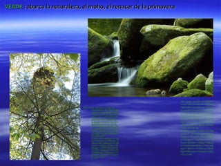 VERDE : abarca la naturaleza, el moho, el renacer de la primavera




                                                                    http://www.google.es/imgres?
                                                                    num=10&hl=es&biw=1024&bih
                             http://www.google.es/imgres?           =663&tbm=isch&tbnid=AHpQil
                                     hl=es&biw=1024&bih=66          IILowtdM:&imgrefurl=http://ww
                                     3&tbm=isch&tbnid=Add7f         w.fotos.org/galeria/showphoto.
                                     CAgwoiZAM:&imgrefurl=
                                     http://www.reforestacion.      php/photo/98839&docid=gywH
                                     org/arbol-que-crece-en-        uvTWzKW95M&itg=1&imgurl=
                                     la-parte-superior-de-otro-     http://www.fotos.org/galeria/dat
                                     arbol/&docid=i7CvYKS-          a/905/medium/Paisaje-exotico-
                                     GIGZ7M&imgurl=http://fa
                                     rm4.staticflickr.com/3100      moho-fondos-de-
                                     /2505130269_95cd1e1ce          pantalla.jpg&w=700&h=437&ei
                                     3.jpg&w=333&h=500&ei=          =IL6aUL_AC82BhQezzIGoAg
                                     Dr-aUPngPI-                    &zoom=1&iact=hc&vpx=99&vp
                                     xhAf2voGIAw&zoom=1&i
                                     act=hc&vpx=606&vpy=21          y=152&dur=1394&hovh=177&
                                     7&dur=4674&hovh=275&           hovw=284&tx=156&ty=99&sig
                                     hovw=183&tx=92&ty=18           =115069083469307070021&p
                                     3&sig=11506908346930           age=1&tbnh=127&tbnw=205&
                                     7070021&page=2&tbnh=
                                     155&tbnw=102&start=17          start=0&ndsp=17&ved=1t:429,
                                     &ndsp=24&ved=1t:429,r:         r:0,s:0,i:69
                                     3,s:20,i:140
 