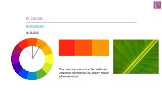EL COLOR
HARMONIES
ANÀLEGS
Són colors que ens resulten naturals.
Aquestes harmonies les podem trobar
a la naturalesa
 