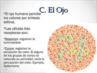 C. El OjoC. El OjoOEl ojo humano percibe
los colores por síntesis
aditiva.
OLas células foto
receptoras son;
OBastones; registran la
luminosidad.
OConos; registran la
sensación de color. Si alguno
de los grupos de conos ve
reducida su actividad, varía la
percepción del color. Ejemplo;
Daltonismo
 