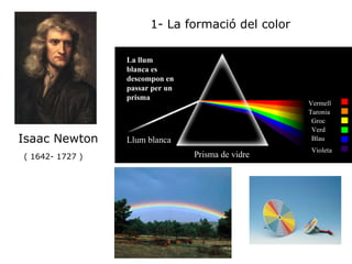 Isaac Newton ( 1642- 1727 )‏ 1- La formació del color La llum blanca es descompon en passar per un prisma  Llum blanca Prisma de vidre Vermell Taronja Groc  Verd Blau Violeta 