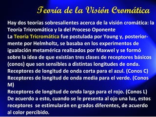 Teoría de la Visión Cromática Hay dos teorías sobresalientes acerca de la visión cromática: la Teoría Tricromática y la del Proceso Oponente La  Teoría Tricromática  fue postulada por Young y, posterior-mente por Helmholtz, se basaba en los experimentos de igualación metamérica realizados por Maxwel y se formó sobre la idea de que existían tres clases de receptores básicos (conos) que son sensibles a distintas longitudes de onda. Receptores de longitud de onda corta para el azul. (Conos C)  Receptores de longitud de onda media para el verde. (Conos M) Receptores de longitud de onda larga para el rojo. (Conos L) De acuerdo a esto, cuando se le presenta al ojo una luz, estos receptores  se estimularán en grados diferentes, de acuerdo  al color percibido. 