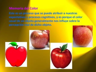 Memoria del Color Este es un proceso que se puede atribuir a nuestras expectativas y procesos cognitivos, y es porque el color usual de un objeto generalmente nos influye sobre la percepción real de dicho objeto. 