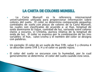  La Carta Munsell es la referencia internacional
universalmente utilizada para proporcionar información sobre
colores del suelo. El color se determina comparando pequeñas
cantidades de suelo con placas de colores de la Carta Munsell,
las cuales son clasificadas de acuerdo a: a) Hue, longitud de
onda dominante b) Value, cantidad de luz, variando entre colores
claros a oscuros, c) Chroma, pureza relativa de la longitud de
onda de luz. El color se expresa por la combinación de las tres
variables: el hue, valor/croma y el nombre del color se designa
con palabras.
 Un ejemplo: El color de un suelo de Hue 5YR, value 5 y chroma 4
se describe como 5YR 5/4 y el color es pardo rojizo.
 El color del suelo se oscurece con la humedad, por lo cual
generalmente se determina el color del suelo cuando está seco.
 