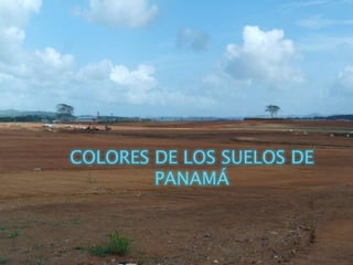 COLORES DE LOS SUELOS DE
PANAMÁ
 