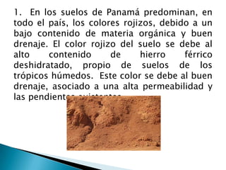 1. En los suelos de Panamá predominan, en
todo el país, los colores rojizos, debido a un
bajo contenido de materia orgánica y buen
drenaje. El color rojizo del suelo se debe al
alto contenido de hierro férrico
deshidratado, propio de suelos de los
trópicos húmedos. Este color se debe al buen
drenaje, asociado a una alta permeabilidad y
las pendientes existentes.
 