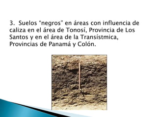 3. Suelos “negros” en áreas con influencia de
caliza en el área de Tonosí, Provincia de Los
Santos y en el área de la Transístmica,
Provincias de Panamá y Colón.
 