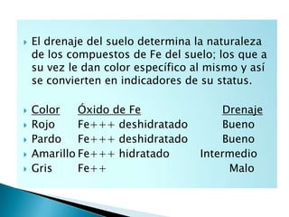 El drenaje del suelo determina la naturaleza
de los compuestos de Fe del suelo; los que a
su vez le dan color específico al mismo y así
se convierten en indicadores de su status.
 Color Óxido de Fe Drenaje
 Rojo Fe+++ deshidratado Bueno
 Pardo Fe+++ deshidratado Bueno
 Amarillo Fe+++ hidratado Intermedio
 Gris Fe++ Malo
 