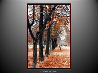 El  Retiro  en  Otoño 