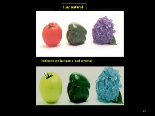 Luz natural Iluminado con luz cyan  (  azul verdosa) 