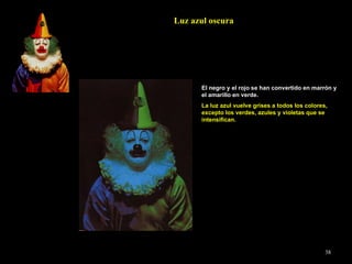 Luz azul oscura El negro y el rojo se han convertido en marrón y el amarillo en verde. La luz azul vuelve grises a todos los colores, excepto los verdes, azules y violetas que se intensifican. 