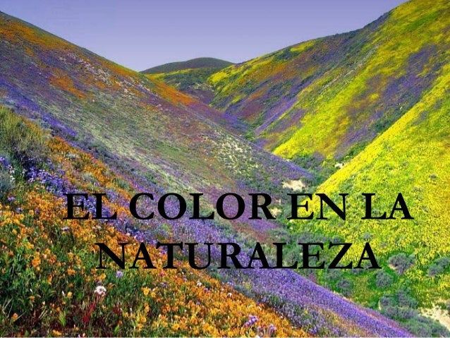 Resultado de imagen para color de la naturaleza
