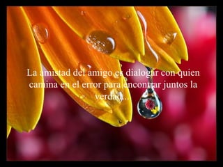 La amistad del  amigo es dialogar con quien camina en el error para encontrar juntos la verdad...  