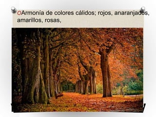 OArmonía de colores cálidos; rojos, anaranjados,
amarillos, rosas,
 