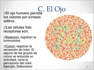 C. El OjoOEl ojo humano percibe
los colores por síntesis
aditiva.
OLas células foto
receptoras son;
OBastones; registran la
luminosidad.
OConos; registran la
sensación de color. Si
alguno de los grupos de
conos ve reducida su
actividad, varía la
percepción del color.
Ejemplo; Daltonismo
 