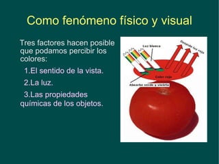 Como fenómeno físico y visual Tres factores hacen posible que podamos percibir los colores: 1.El sentido de la vista. 2.La luz.  3.Las propiedades  químicas de los objetos.   