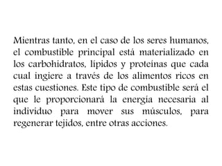 Mientras tanto, en el caso de los seres humanos,
el combustible principal está materializado en
los carbohidratos, lípidos y proteínas que cada
cual ingiere a través de los alimentos ricos en
estas cuestiones. Este tipo de combustible será el
que le proporcionará la energía necesaria al
individuo para mover sus músculos, para
regenerar tejidos, entre otras acciones.
 