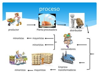 proceso
productor Planta procesadora distribuidor
mayoristas
minoristas
minoristas
consumidores
Empresa
transformadorasmayoristasminoristas
 