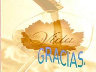 El comienzo de la vida humana