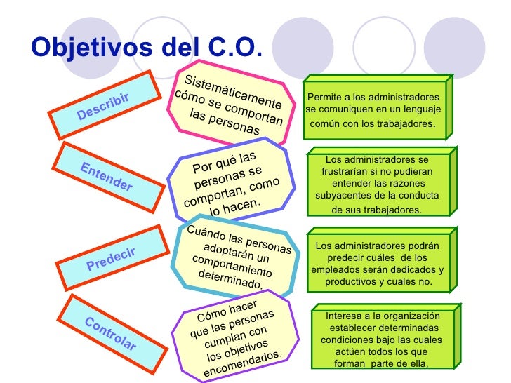 El comportamiento organizacional