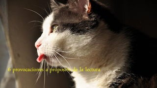 6 provocaciones a proposito de la lectura
 