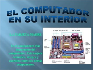 LA TARJETA MADRE


 Es el componente más
     importante del
computador. Esta tarjeta
  comunica, integra y
coordina todos los demás
      componentes.
 