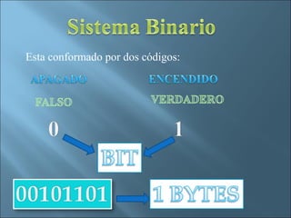 Esta conformado por dos códigos:
 