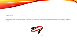 • BUS DE DATOS
• El Bus de Datos trabaja en conjunción con el Bus de Direcciones para transportar los datos a través del computador. El tamaño del Bus de Datos puede ser de 16, 32 o
64 bits.
 