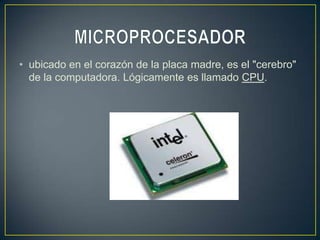• ubicado en el corazón de la placa madre, es el "cerebro"
  de la computadora. Lógicamente es llamado CPU.
 