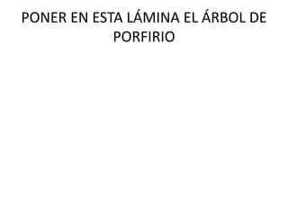 PONER EN ESTA LÁMINA EL ÁRBOL DE PORFIRIO